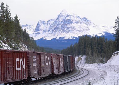 #EF-2786-15
